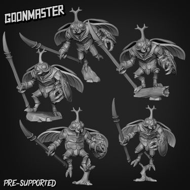 Beetle Spearman Bundle